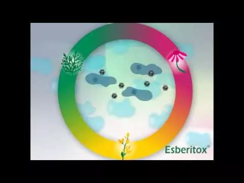 Video su Esberitox® Compact per raffreddori, 60 pz