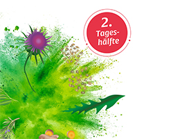 BASEN AKTIV Tè No.2 Tarassaco Bio Salus, 40 pz