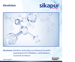 SIKAPUR Gel di acido silicico in stick bacche rosse, 30 pz