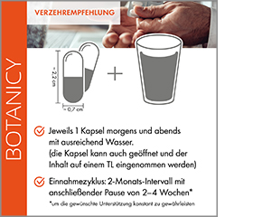 ZÜNDEX forte Complex con OptiMSM Capsule, 60 Capsule