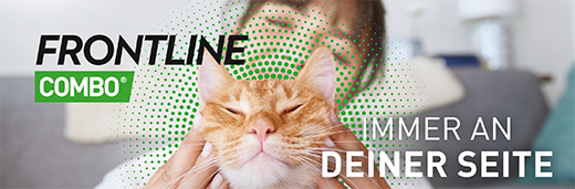 FRONTLINE Combo Preparato per pelle di gatto, 6 pezzi