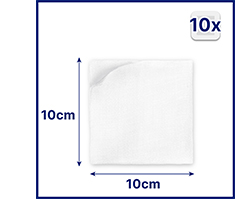 HANSAPLAST Compresse sterili 10x10 cm, 5X2 pz