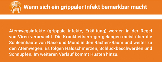 ANGOCIN Anti Infekt N compresse rivestite con film, 500 pz
