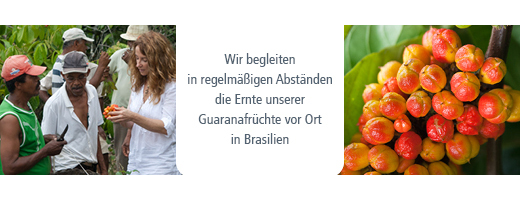 GUARANA BIO Polvere pura, 100 g