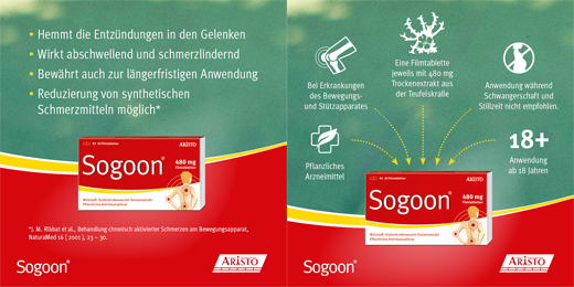 SOGOON 480 mg compresse rivestite con film, 20 pezzi