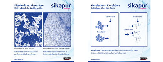 SIKAPUR Gel di acido silicico in stick bacche rosse, 30 pz