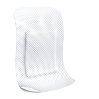 LEUKOPLAST strisce di gesso bianco morbido 38x72 mm, 10 pz