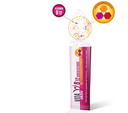 VITA AKTIV B12 Direct Sticks con blocchi di proteine, 90 pezzi