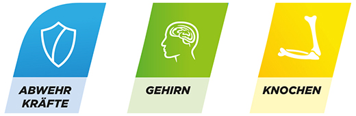 CENTRUM pastiglie fresche & fruttate, 60 pezzi