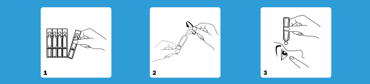 VIVIDRIN ectoina EDO collirio, 10X0,5 ml