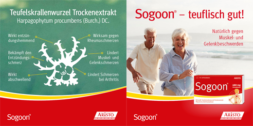 SOGOON 480 mg compresse rivestite con film, 20 pezzi