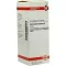 CORIANDRUM tintura madre sativum D 1, 50 ml