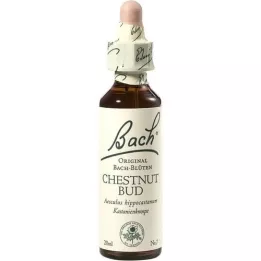 BACHBLÜTEN Gocce di Castagno Bud, 20 ml