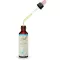BACHBLÜTEN Gocce di cicoria, 20 ml