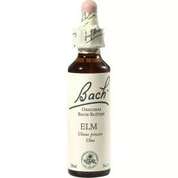 BACHBLÜTEN Gocce di olmo, 20 ml