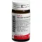 SKORODIT KREISLAUF Globuli velati, 20 g
