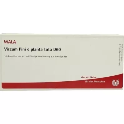 VISCUM PINI e pianta totale D 60 fiale, 10X1 ml