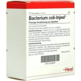 BACTERIUM COLI Fiale Injeel, 10 pz