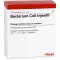 BACTERIUM COLI Fiale Injeel, 10 pz