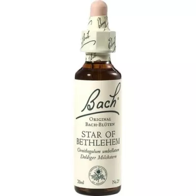 BACHBLÜTEN Stella di Betlemme gocce, 20 ml BACHBLÜTEN Stella di Betlemme gocce, 20 ml