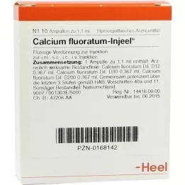 CALCIUM FLUORATUM INJEEL Fiale, 10 pz