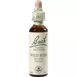 BACHBLÜTEN Gocce di rosa canina, 20 ml