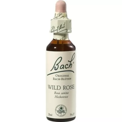 BACHBLÜTEN Gocce di rosa canina, 20 ml BACHBLÜTEN Gocce di rosa canina, 20 ml