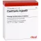 CANTHARIS INJEEL Fiale, 10 pz