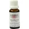 CERES Tintura madre di assenzio, 20 ml