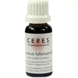 CERES Tintura madre di Dipsacus fullonum, 20 ml