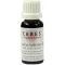 CERES Tintura madre di Dipsacus fullonum, 20 ml