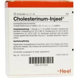 CHOLESTERINUM INJEEL Fiale, 10 pz