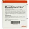 CHOLESTERINUM INJEEL Fiale, 10 pz