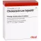 CHOLESTERINUM INJEEL Fiale, 10 pz