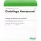 CIMICIFUGA HOMACCORD Fiale, 10 pz