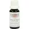 CERES Tintura madre di Sambucus nigra, 20 ml