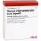DISCUS INTERVERTEBRALIS fiale suis Injeel, 10 pz