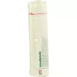 IDEALBINDE Lohmann 20 cmx5 m con cella ad anello, 1 pezzo