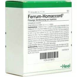 FERRUM HOMACCORD Fiale, 10 pz