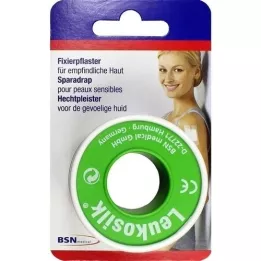 LEUKOSILK Blister 2,5 cmx5 mt, 1 pz