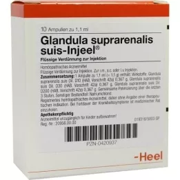 GLANDULA SUPRARENALIS fiale suis Injeel, 10 pz