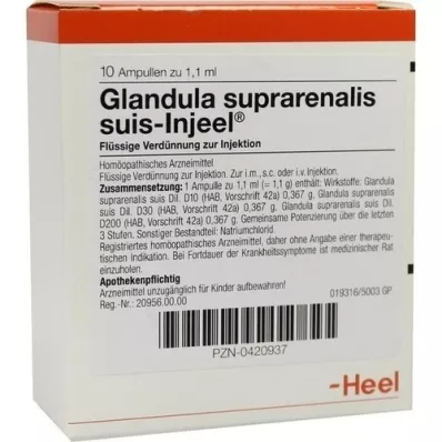GLANDULA SUPRARENALIS fiale suis Injeel, 10 pz GLANDULA SUPRARENALIS fiale suis Injeel, 10 pz