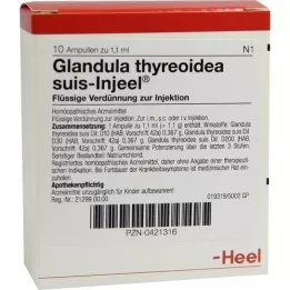 GLANDULA THYREOIDEA fiale suis Injeel, 10 pz