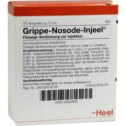 GRIPPE NOSODE Fiale Injeel, 10 pz