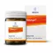 NAUSYN Compresse, 100 pz