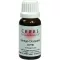 CERES Ginkgo dryopteris comp. gocce, 20 ml