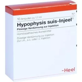 HYPOPHYSIS SUIS Fiale Injeel, 10 pz