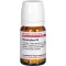 BRYOPHYLLUM D 6 compresse, 80 pz