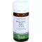 PFLÜGERPLEX Hekla 312 H compresse, 100 pz