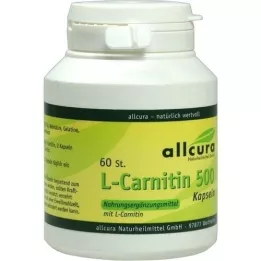 L-CARNITIN KAPSELN 500, 60 pz